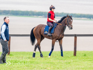 AK021025-16 - Believitanducan